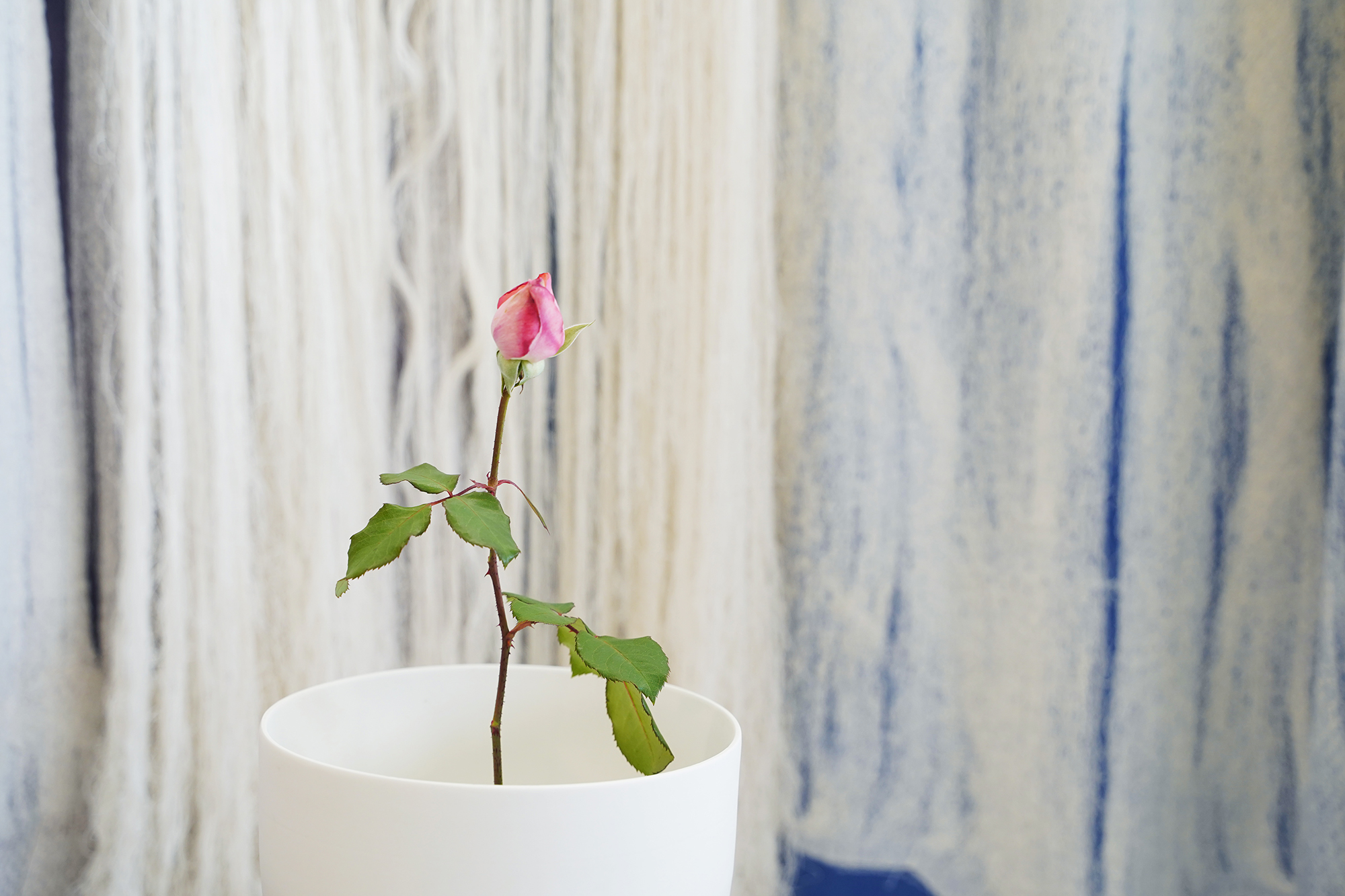 POP-UP じきときじ 1&2